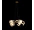 Подвесной светильник LOFT IT Bloom 10352/650 AB 2