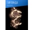 Светодиодная гирлянда КОСМОС Золотые нити, медный провод, IP44, 10 метров KOCNL-EL151 7