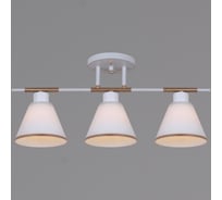 Потолочный светильник ReLuce 07594-0.3-03 WG