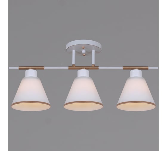 Потолочный светильник ReLuce 07594-0.3-03 WG 1