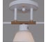 Потолочный светильник ReLuce 07594-0.3-03 WG 4