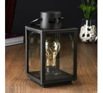 Ночник RISALUX 48132 LED батарейки 3хААА черный 11х11х28 см 4738460