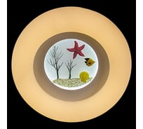 Потолочный светодиодный светильник ReLuce 01023-0.3-01A