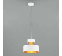 Подвесной светильник Eurosvet 50171 1 белый a044861