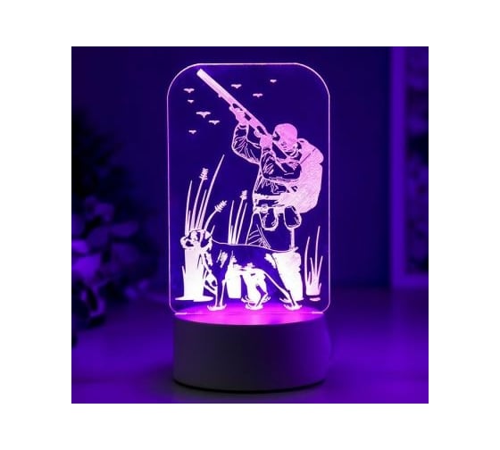 Светильник "Охотник" RISALUX LED RGB от сети 9,5х10х19,5 см 5074789