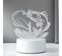 Светильник "Рыбак" RISALUX LED RGB от сети 9,5х13,5х15 см 5074796