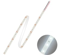 Светодиодная лента FL-LED FL-Strip 2835-S60-CW 12Вт/м, 6500K, DC-24V, IP20, 10x5000мм, 1250Лм/м 613547