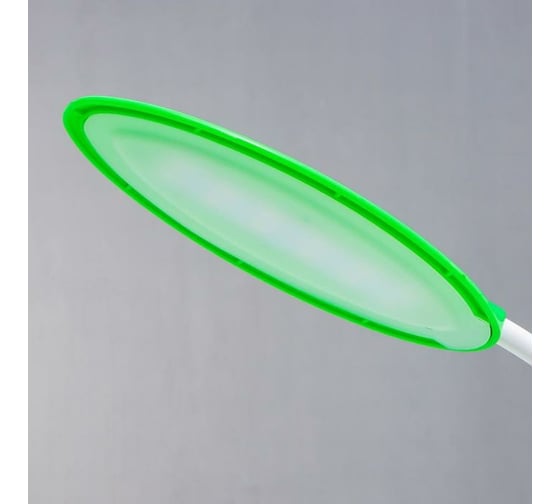 Настольная лампа RISALUX 16479/1GR 12хLED 2Вт USB зеленый 5500513