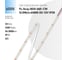 Светодиодная лента FL-LED FL-Strip 2835 - S60- CW 12.0W/m 6500K DC-12V IP20 10x5000mm 1250lm/m 607362 2