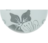 Светильник бра Твой Свет Ф1/2300 стекло Орхидея Е27х1х75W 599