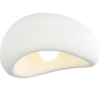 Светильник потолочный ST-Luce белый/белый E27х60W ST luce SL1522.512.01