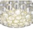 Светильник потолочный ST-Luce Никель/Никель, Прозрачный E1х60W ST luce SL1662.102.19 4