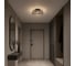 Светильник потолочный ST-Luce черный/дымчатый LED 1х5W 4000K ST luce SL6143.412.01 7