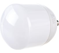 Светодиодная лампа TDM ELECTRIC T-80 Вт-230 В-4000 К–E27 160x265 мм НАРОДНАЯ SQ0340-1585