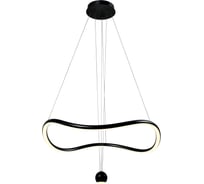 Светильник подвесной ST LUCE черный/черный, белый LED 1*40W 3000K SL6209.403.40