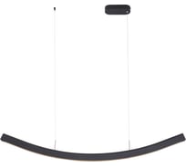 Светильник подвесной ST LUCE черный/черный LED 1*20W 4000K SL6232.403.01