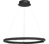 Светильник подвесной ST LUCE черный/черный LED 1*32W 4000K SL6238.433.01