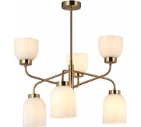 Люстра Росток MDM-5911/6 BRO+W латунь 6x40W E27 d580 h610, HAO24 988385723