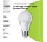 Лампа FL-LED A60 15W E27 4200К (ecopack 10 штук) 220В 1500Лм 60х112мм - лампа 620095 2