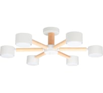 Светильник потолочный ARTE LAMP A1624PL-6BK