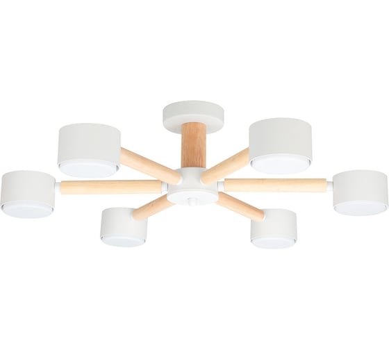 Светильник потолочный ARTE LAMP A1624PL-6BK 1