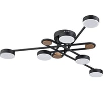 Светильник потолочный ARTE LAMP A2455PL-6BK