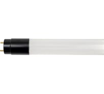 Бактерицидная лампа IN HOME T8-UV-PRO 40Вт 230В G13 1200мм прозрачная 4690612034522