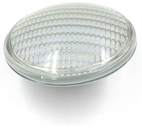 Светодиодная лампа Reexo SMD PAR56 RGB, 12 Вт с пультом ДУ, 500 лм, артикул 162662