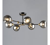 Потолочная люстра ReLuce 01070-0.3-06 BK+COP