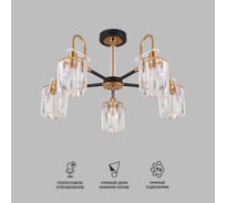 Потолочный светильник Eurosvet 70090 5 черный a045144