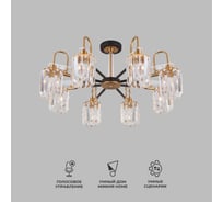 Потолочный светильник Eurosvet 70090 8 черный a045145