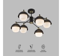 Потолочный светильник Eurosvet 70106 6 черный a044934