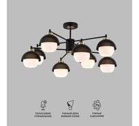 Потолочный светильник Eurosvet 70106 8 черный a044935
