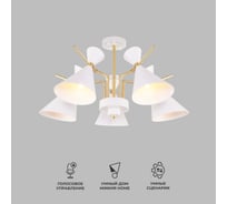 Потолочный светильник Eurosvet 70114 5 белый a047641