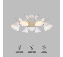 Потолочный светильник Eurosvet 70114 8 белый a047643