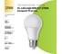 Лампа FL-LED A60 10W E27 2700К (ecopack 10 штук) 220В 1000Лм 60х108мм 620057 2