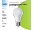 Лампа FL-LED A60 10W E27 6400К (ecopack 10 штук) 220В 1000Лм 60х108мм 620071 2