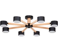 Светильник потолочный ARTE LAMP A1624PL-8BK
