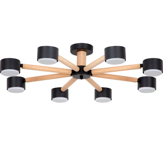 Светильник потолочный ARTE LAMP A1624PL-8BK 1