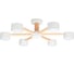 Светильник потолочный ARTE LAMP A1624PL-6WH 1