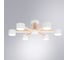 Светильник потолочный ARTE LAMP A1624PL-6WH 2