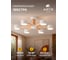 Светильник потолочный ARTE LAMP A1624PL-6WH 5