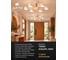 Светильник потолочный ARTE LAMP A1624PL-6WH 6