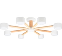 Светильник потолочный ARTE LAMP A1624PL-8WH