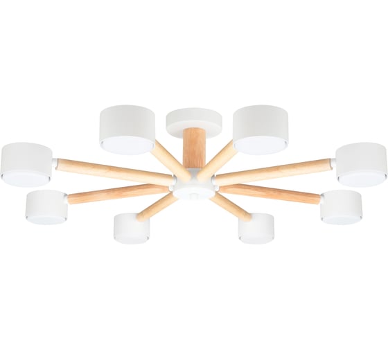 Светильник потолочный ARTE LAMP A1624PL-8WH 1