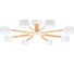 Светильник потолочный ARTE LAMP A1624PL-8WH 1