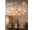 Светильник потолочный ARTE LAMP A1624PL-8WH 5