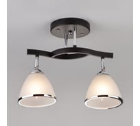 Потолочный светильник Eurosvet 9612 2 хром венге 00000063283