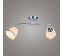 Потолочная люстра RITTER TIVOLI 2хE27, хром 52525 7
