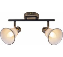 Спот Reluce 05901-0.8-02 BK+FGD